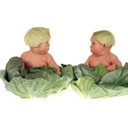 Аватар канала «Канал МБДОУ № 4 "Насып"»