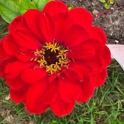 Аватар канала «МАДОУ "Детский сад N14 г. Сосногорска"»