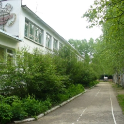 Аватар канала «Public Детский сад №9 общеразвивающего вида г. Емвы»