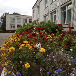 Аватар канала «МОБУ «Новоарбанская СОШ»»