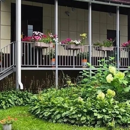 Аватар канала «ГБУ РМЭ "Комплексный центр социального обслуживания населения в городе Йошкар-Оле"»