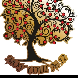 Аватар канала «МОУ СШ №12»