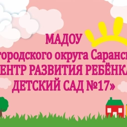 Аватар канала «МАДОУ "Центр развития ребёнка - детский сад №17" г.о.Саранск»