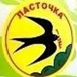 Аватар канала «МБДОУ Ласточка с. Сурх-Дигора»