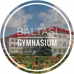 Аватар канала «МБОУ "Балтасинская гимназия"»