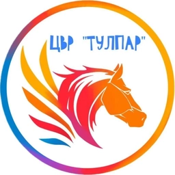 Аватар канала «МБУДО «Центр внешкольной работы «ТУЛПАР» Высокогорского муниципального района РТ»»