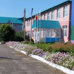 Аватар канала «МБОУ "Старошаймурзинская СОШ" Дрожжановского муниципального района РТ»