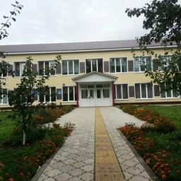 Аватар канала «Новостной канал МБОУ-Большемешинской СОШ Тюлячинского МР РТ»