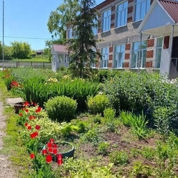 Аватар канала «МБОУ «Красновидовская основная общеобразовательная школа»»