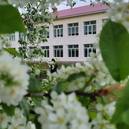 Аватар канала «СОШ с.Маскара им. Н.А.Самигуллина»