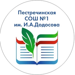 Аватар канала «МБОУ "Пестречинская средняя общеобразовательная школа №1 с углублённым изучением отдельных предметов имени Героя России Ивана Алексеевича Додосова"»