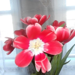 Аватар канала «МБОУ "Александровская ООШ им.Героя Советского Союза А.А.Казакова" Сармановского МР РТ»