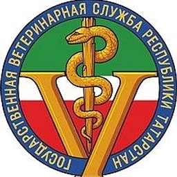 Аватар канала «ГБУ "Чистопольское РГВО"»