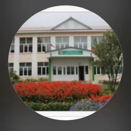 Аватар канала «МБОУ "СОШ с.Сарлы" Азнакаевского муниципального района РТ»