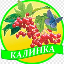 Аватар канала «МДБОУ "Д/с 63 "Калинка"»