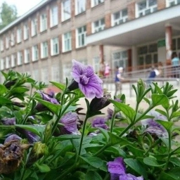 Аватар канала «Средняя школа№5 города Бугульма Республики Татарстан»