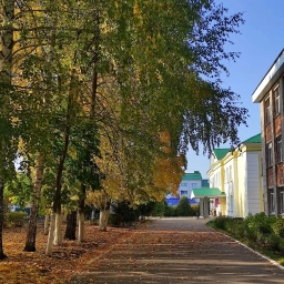 Аватар канала «Муниципальное бюджетное общеобразовательное учреждение Карабашская средняя общеобразовательная школа №2 Бугульминского муниципального района Республики Татарстан»