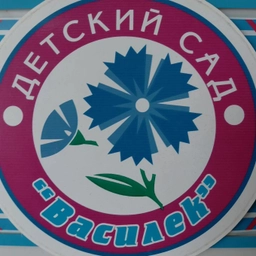 Аватар канала «МБДОУ Детский сад « Василек» комбинированного вида» Заинского муниципального района РТ»