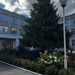 Аватар канала «МБОУ «Лицей № 7 им. Героя Советского Союза В.Х. Хазиева ЗМР РТ»»