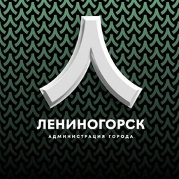 Аватар канала «Лениногорский муниципальный район»