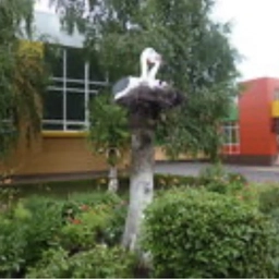 Аватар канала «Официальный канал МБОУ"Средняя общеобразовательная школа № 37 с УИОП" города Набережные Челны»