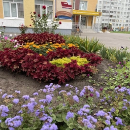 Аватар канала «68-МАХ ГБОУ "Набережночелнинская школа №68"»