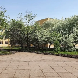 Аватар канала «МАОУ "Средняя общеобразовательная школа №17"»