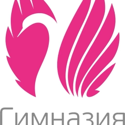 Аватар канала «МБОУ "Гимназия-интернат №13" г. Нижнекамск»