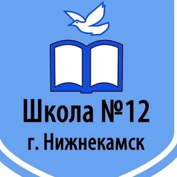 Аватар канала «Школа №12 г.Нижнекамск РТ»