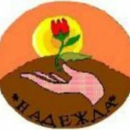 Аватар канала «МАОУ "Надежда"»