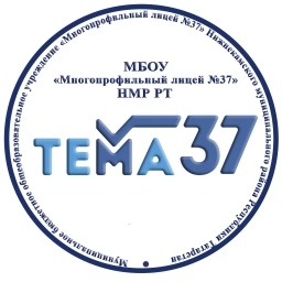 Аватар канала «МБОУ "Многопрофильный лицей №37" НМР РТ»