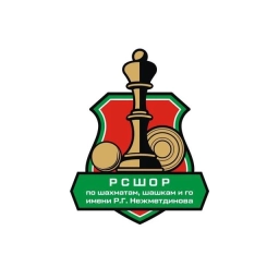 Аватар канала «Школа по шахматам, шашкам, го им.Р.Г. Нежметдинова»