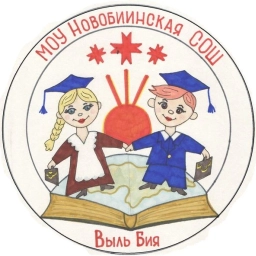 Аватар канала «Новобиинская школа»