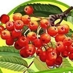 Аватар канала «МАДОУ д/с № 40 г.Сарапул»