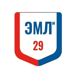 Аватар канала «Официальный канал ГБОУ УР "ЭМЛи № 29"»