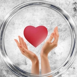 Аватар канала «Соцзащита Хакасии»