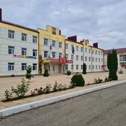 Аватар канала «МБОУ "Бачи-Юртовская СШ №4"»