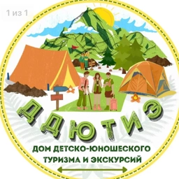 Аватар канала «МБУ ДО ДДЮТиЭ Шалинского района»