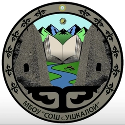 Аватар канала «МБОУ «СОШ с. Чиннах»»