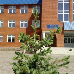 Аватар канала «МОБУ СОШ №1 с. Бижбуляк»