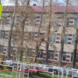 Аватар канала «МБОУ-лицей г. Алейска»