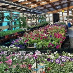 Аватар канала «Славгородская Теплица ООО Бригады»