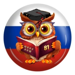 Аватар канала «Новости МБОУ "СОШ №81"»