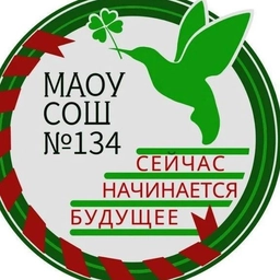 Аватар канала «МАОУ "СОШ №134"»