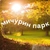 Аватар канала «УК Мичурин парк🌲»