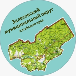 Аватар канала «Залесово. Главное»