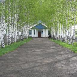 Аватар канала «МБОУ "КРАСНОПАРТИЗАНСКАЯ СОШ"»