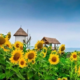 Аватар канала «☀️МБДОУ МО «Детский сад№219»☀️»