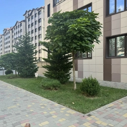 Аватар канала «ООО «УК «Умный Дом»»