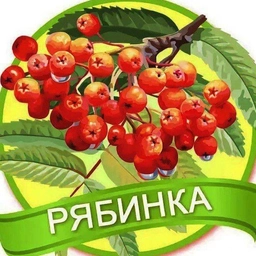 Аватар канала «МАДОУ ЦРР-д/с 18 "Рябинка" МО Кавказский район»